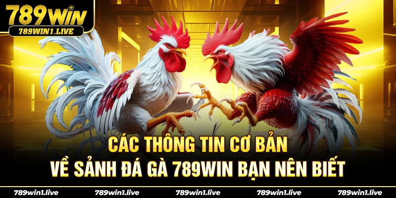 Các thông tin cơ bản về sảnh Đá Gà 789Win bạn nên biết
