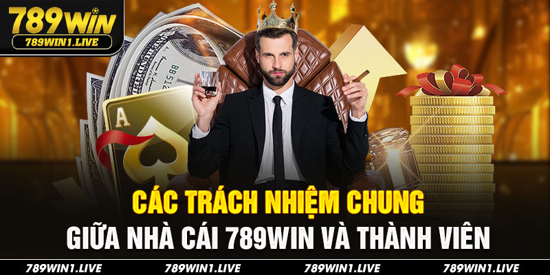 Các trách nhiệm chung giữa nhà cái 789Win và thành viên