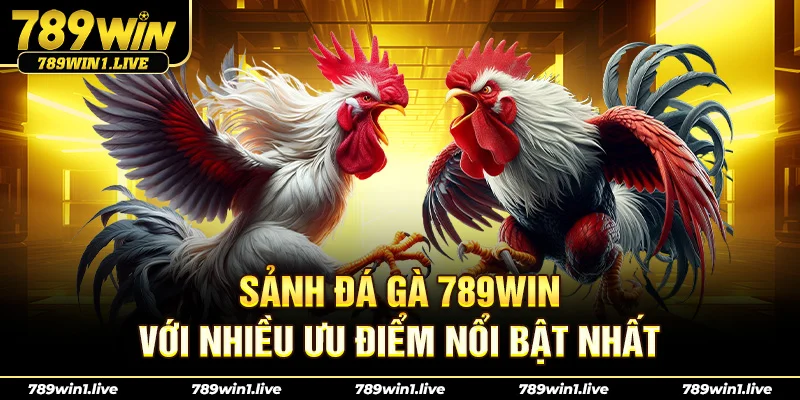 Sảnh Đá Gà 789Win với nhiều ưu điểm nổi bật nhất