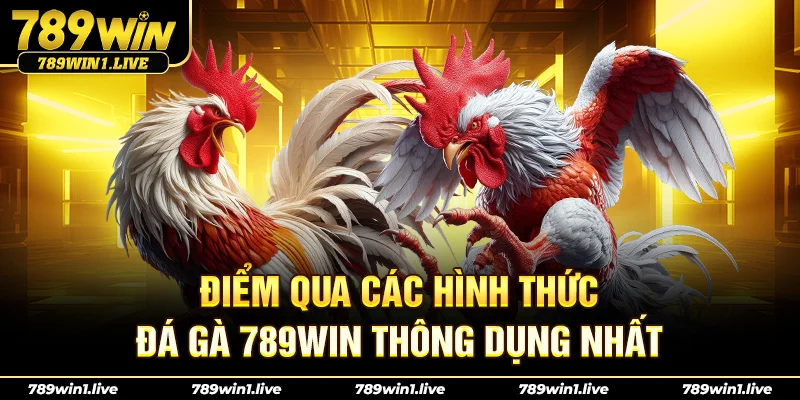 Điểm qua các hình thức Đá Gà 789Win thông dụng nhất