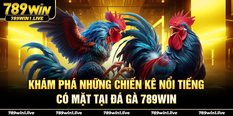 Khám phá những chiến kê nổi tiếng có mặt tại Đá Gà 789Win